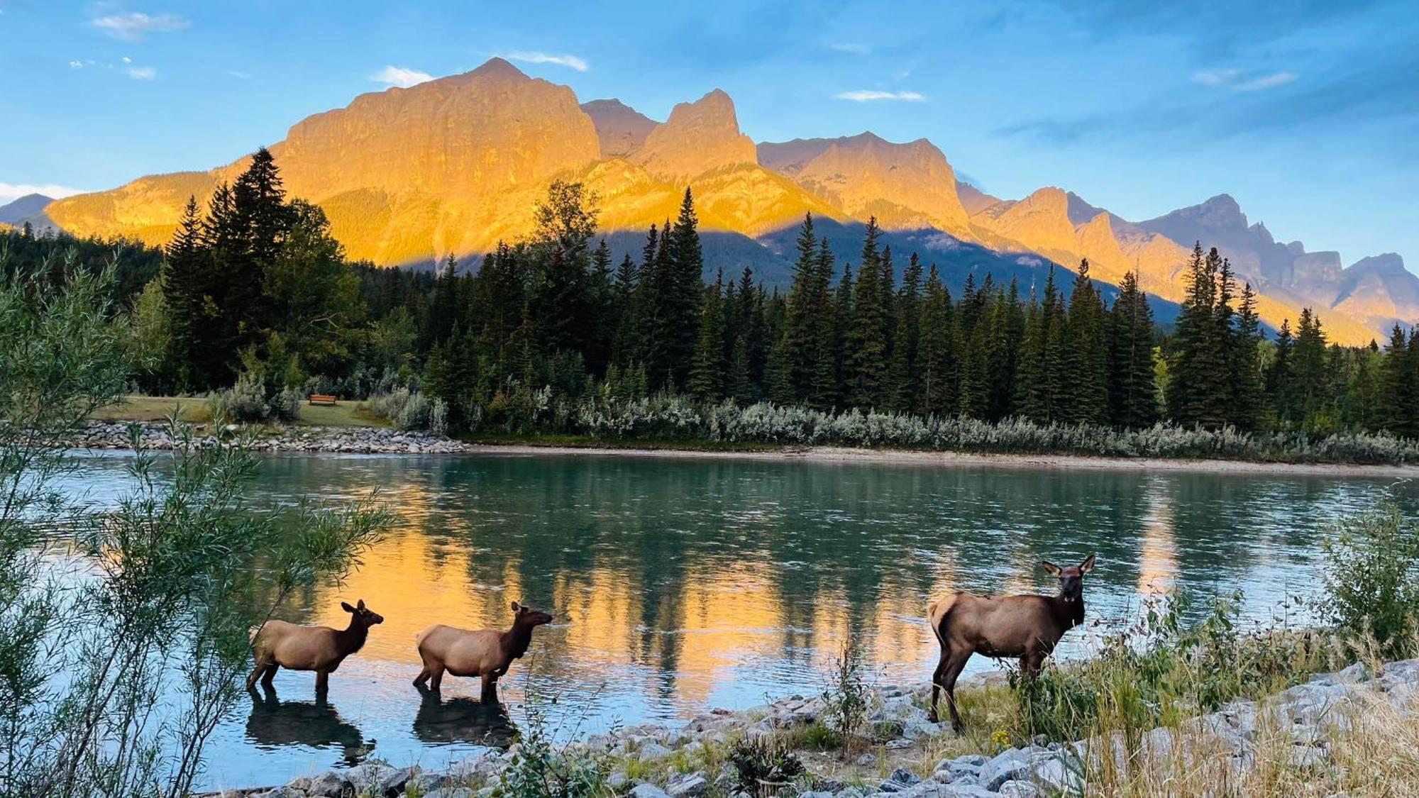 #202 Cozy Mountain View 2 Bedrooms In Dt Canmore Exterior foto